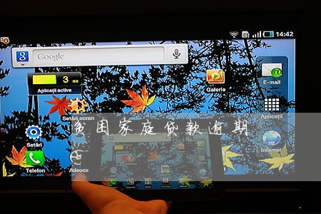 贫困家庭贷款逾期 贫困家庭贷款逾期