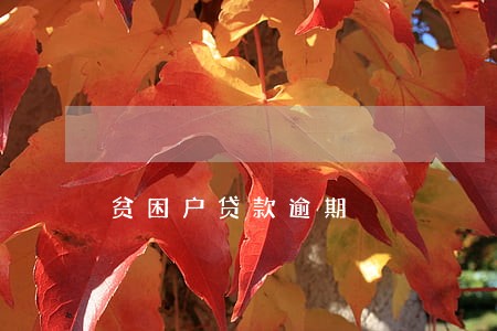 贫困户贷款逾期 贫困户贷款逾期