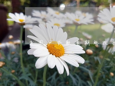 贫困户贷款逾期整改措施 贫困户贷款逾期整改措施