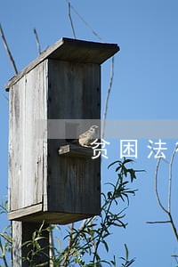 贫困法律援助证明 贫困法律援助证明