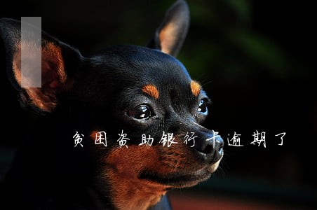 贫困资助银行卡逾期了 贫困资助银行卡逾期了