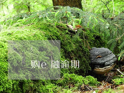 购e融逾期 购e融逾期