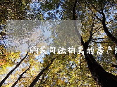 购买司法拍卖的房产需注意哪些