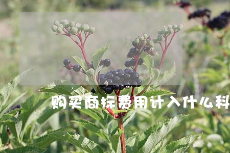购买商标费用计入什么科目 购买商标费用计入什么科目
