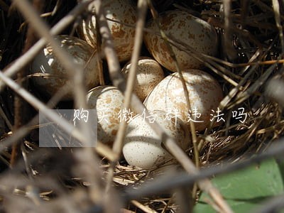 购买微信群违法吗