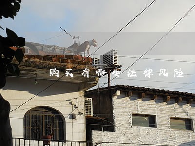 购买有哪些法律风险 购买有哪些法律风险
