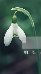 购买没开刃的唐横刀违法吗 购买没开刃的唐横刀违法吗