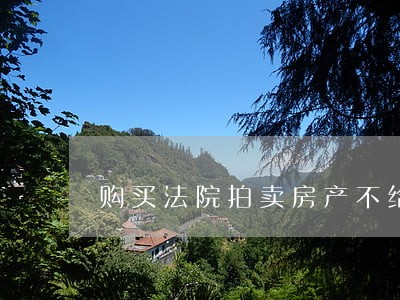 购买法院拍卖房产不给执行 购买法院拍卖房产不给执行