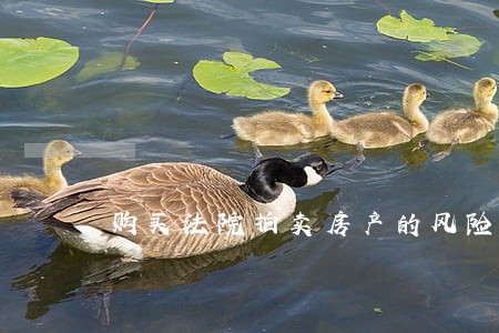 购买法院拍卖房产的风险 购买法院拍卖房产的风险