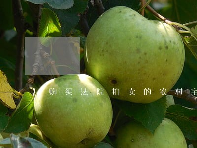 购买法院拍卖的农村宅基地 购买法院拍卖的农村宅基地
