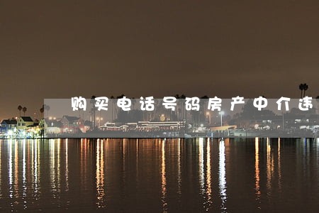 购买电话号码房产中介违法