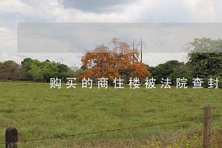 购买的商住楼被法院查封 购买的商住楼被法院查封