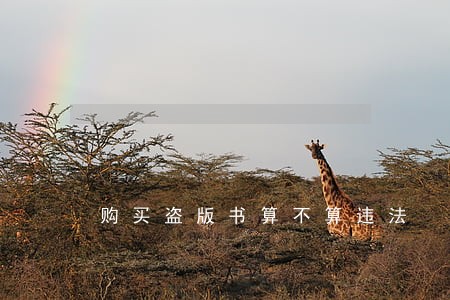 购买盗版书算不算违法 购买盗版书算不算违法