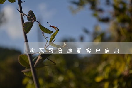 购买网贷逾期客户信息 购买网贷逾期客户信息