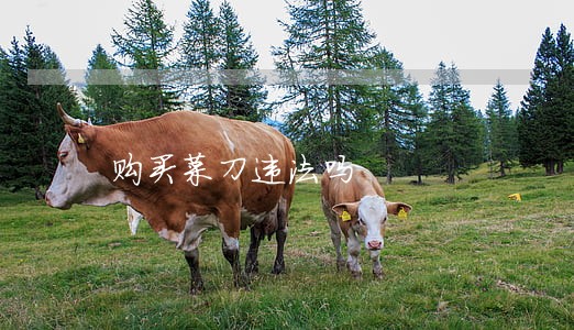 购买菜刀违法吗 购买菜刀违法吗