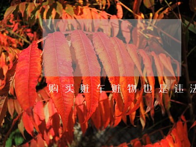 购买赃车赃物也是违法行为 购买赃车赃物也是违法行为