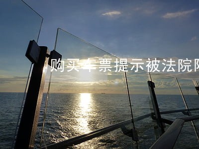 购买车票提示被法院限制 购买车票提示被法院限制
