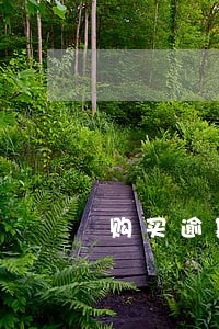 购买逾期房贷银行转让债权 购买逾期房贷银行转让债权