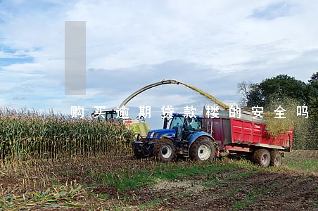 购买逾期贷款楼的安全吗 购买逾期贷款楼的安全吗