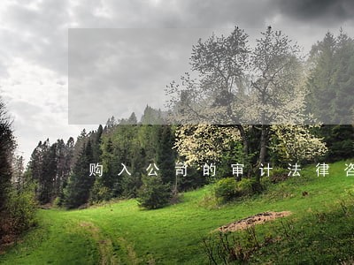 购入公司的审计法律咨询费用 购入公司的审计法律咨询费用