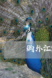 购外汇额度多少是违法 购外汇额度多少是违法