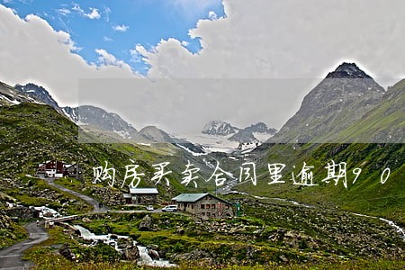 购房买卖合同里逾期90天 购房买卖合同里逾期90天