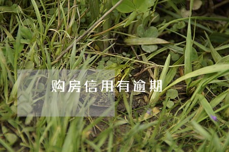 购房信用有逾期 购房信用有逾期