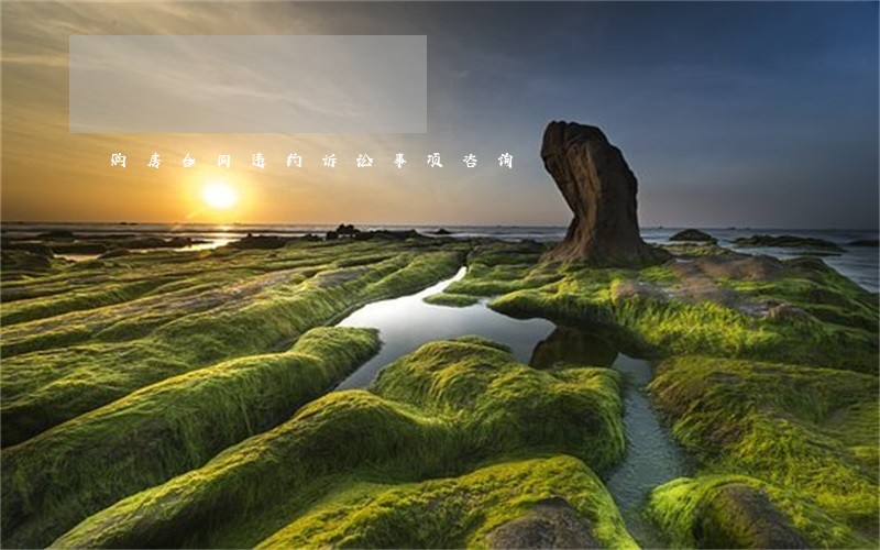 购房合同违约诉讼事项咨询 购房合同违约诉讼事项咨询