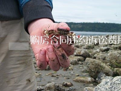 购房合同违约诉讼费用