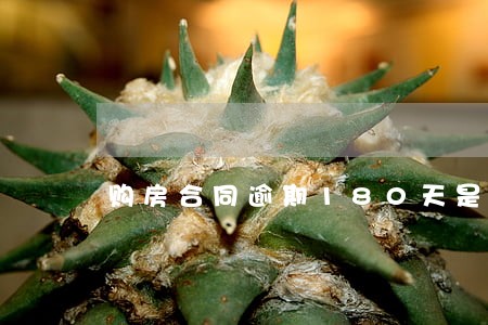 购房合同逾期180天是多久 购房合同逾期180天是多久