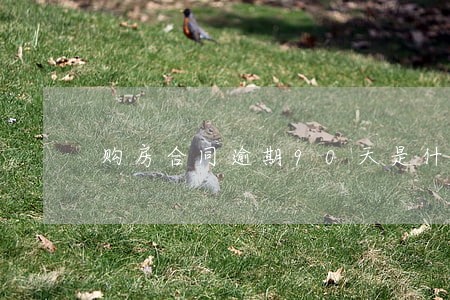 购房合同逾期90天是什么意思 购房合同逾期90天是什么意思