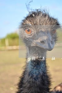 购房征信有2次逾期 购房征信有2次逾期