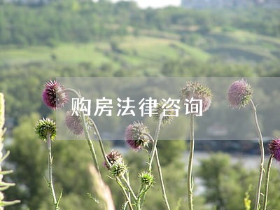 购房法律咨询 购房法律咨询