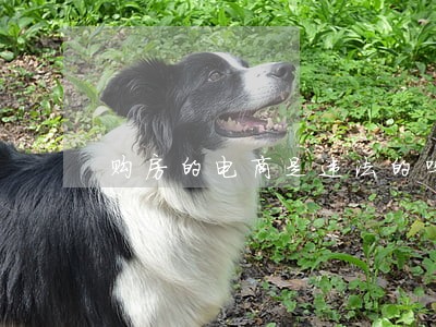 购房的电商是违法的吗 购房的电商是违法的吗