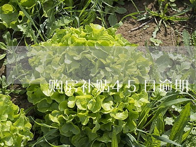 购房补贴45日逾期 购房补贴45日逾期