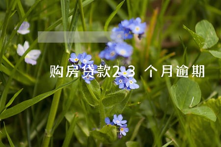 购房贷款23个月逾期 购房贷款23个月逾期