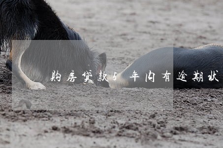 购房贷款5年内有逾期状态