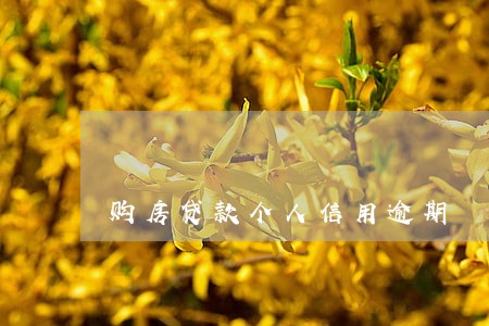 购房贷款个人信用逾期 购房贷款个人信用逾期
