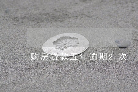 购房贷款五年逾期2次 购房贷款五年逾期2次