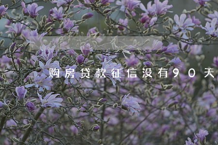 购房贷款征信没有90天逾期