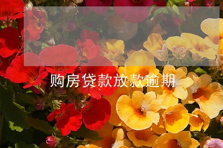 购房贷款放款逾期