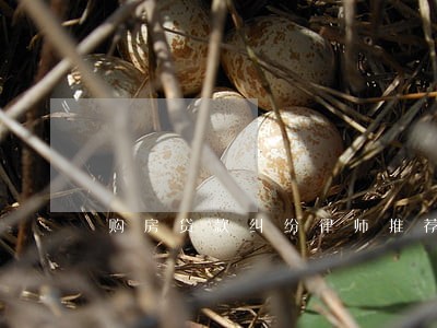 购房贷款纠纷律师推荐 购房贷款纠纷律师推荐