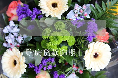 购房贷款逾期16次 购房贷款逾期16次