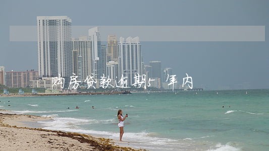 购房贷款逾期5年内