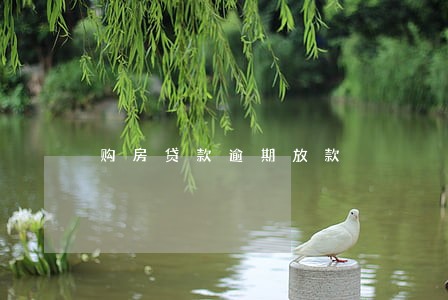 购房贷款逾期放款 购房贷款逾期放款