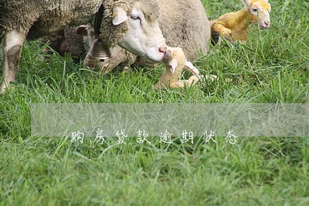 购房贷款逾期状态 购房贷款逾期状态