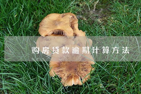 购房贷款逾期计算方法 购房贷款逾期计算方法
