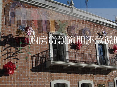 购房贷款逾期还款说明