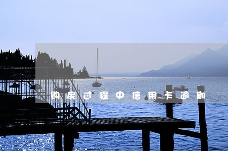 购房过程中信用卡逾期 购房过程中信用卡逾期