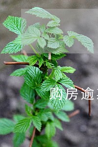 购房逾期5年怎么办 购房逾期5年怎么办